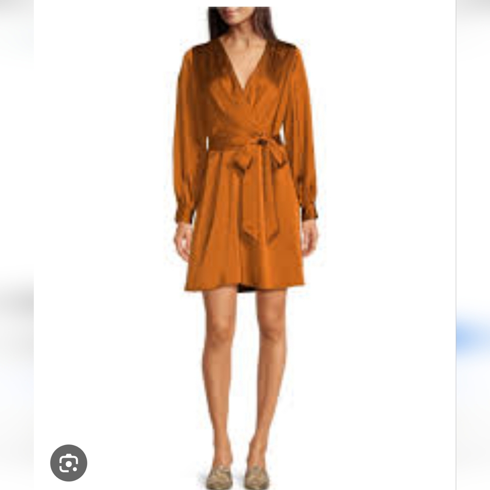 Alex Marie NWT Women's Long Sleeve Satin Dress - Rust 6P